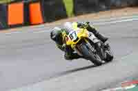 Advanced Group Yellow Bikes
